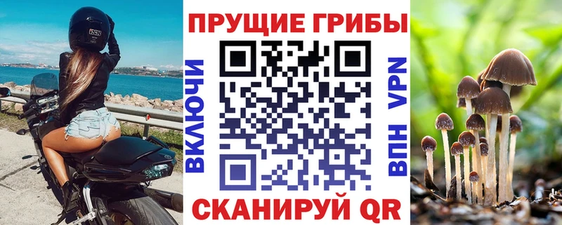Псилоцибиновые грибы ЛСД  blacksprut зеркало  Вилючинск 